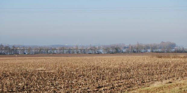 De vastes parcelles de maïsiculture s'étirent jusqu'aux berges de la Dordogne - Saint-André-de-Cubzac