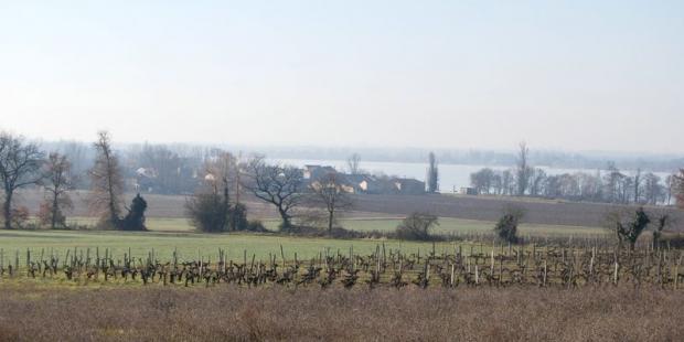Point de vue depuis Peyrelevade sur le hameau de Plagne et le marais - Saint-André-de-Cubzac