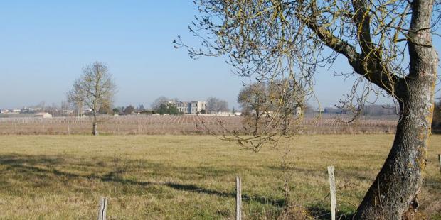 Les pentes viticoles dominées par château Grissac - Prignac-et-Marcamps 