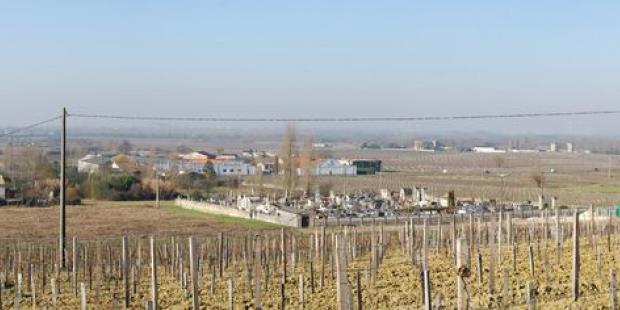 Légèrement en pente, les versants ouvrent de larges vues sur le marais, jusqu'à la Dordogne