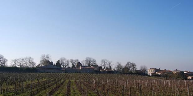 Alignés sur la crête, les bâtiments du hameau de Coubet dessinent un profil agrémenté par les arbres - Prignac-et-Marcamps