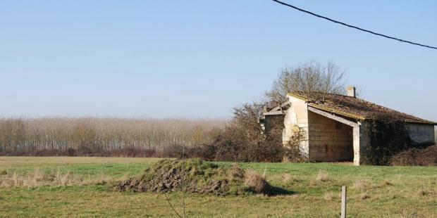  Une grange en ruine dans le marais - Prignac-et-Marcamps