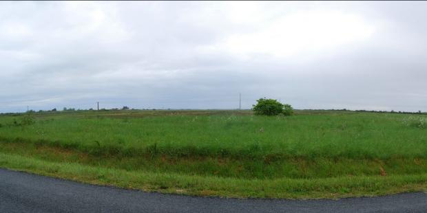 Les mattes s'étendent ici en vastes prairies, seules les berges, légèrement boisées, ferment l'horizon - Soulac-sur-Mer