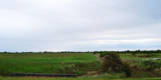 Canaux au nord de Talais 