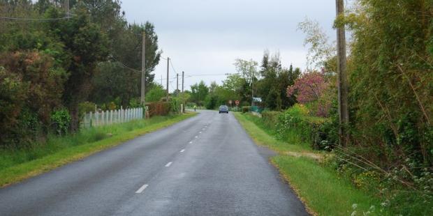 Les jardins privés créent un couloir végétal, rappelant certaines routes des marais - Talais 