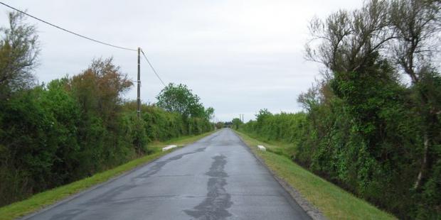 Des haies denses accompagnent les fossés, délimitant des couloirs fermés à travers les palus - Saint-Vivien-de-Médoc