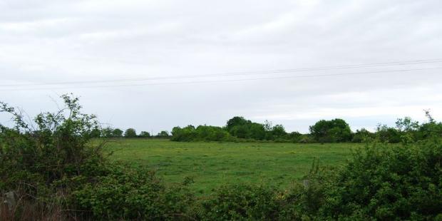 Quelques ouvertures permettent de découvrir les marais au-delà de ces haies - Saint-Vivien-de-Médoc 