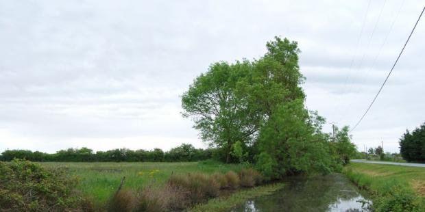 Le long fossé rectiligne de la route de la Plage - Saint-Vivien-de-Médoc