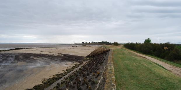 La digue offre des points de vue à valoriser - Saint-Vivien-de-Médoc
