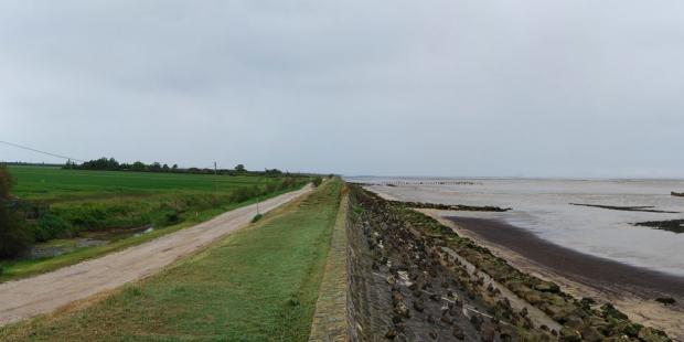 Les terres des mattes, les eaux de l'estuaire, et la simple digue qui les sépare - Saint-Vivien-de-Médoc