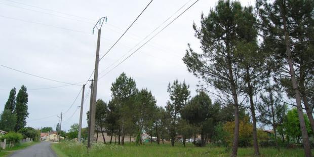 La présence notable des pins souligne l'implantation du village, en bordure du plateau landais - Vensac 
