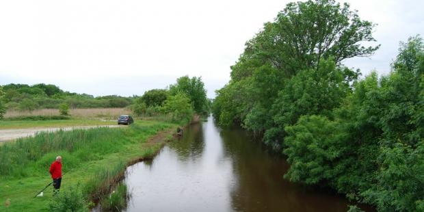 Le chenal du Gua et ses berges boisées - Vensac 