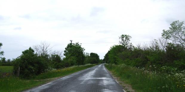 Une gestion adaptée de la végétation permettrait d'offrir des vues vers les marais - Queyrac 