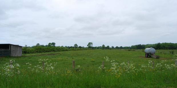 Les ripisylves composent des espaces plus restreints, correspondant aux mailles du réseau des canaux - Queyrac 
