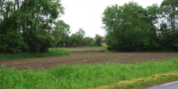 Au fond des vallons humides, les boisements composent le paysage - Civrac-Médoc