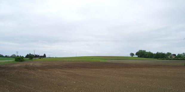 Les terres plus hautes sont réservées à la vigne - Civrac-Médoc 