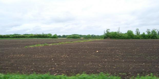 Les haies, et même de simples herbacées, soulignent ici le réseau hydraulique - Lesparre-Médoc
