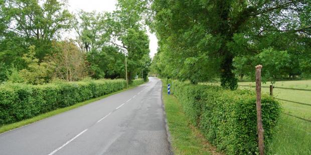 Les haies restent aussi présentes à l'approche des bourgs - Lesparre-Médoc