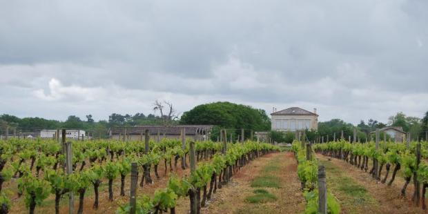  Château Vernous enrichit l'horizon de son domaine - Lesparre-Médoc 