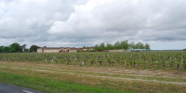 Château la Cardonne - Blaignan 