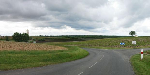 Le chenal de la Calupeyre dessine une large vallée de marais entre les croupes viticoles - Saint-Seurin-de-Cadourne