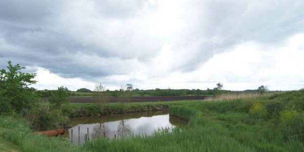 Les prairies en bords de jalles dessinent des paysages précieux, souvent menacés d'enfrichement - Saint-Seurin-de-Cadourne