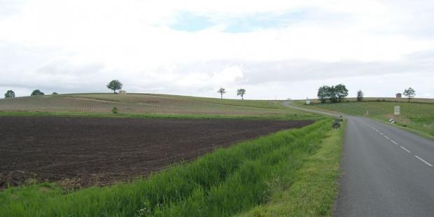 La couleur du sol différencie de façon très nette les champs des vallées et les vignes des buttes - Saint-Seurin-de-Cadourne