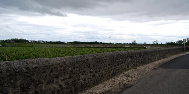 Murets bien entretenus accompagnant les vignes - Saint-Estèphe 