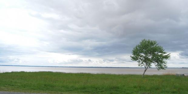 Depuis la route de la berge, l'estuaire se révèle dans toute son ampleur - Saint-Estèphe 