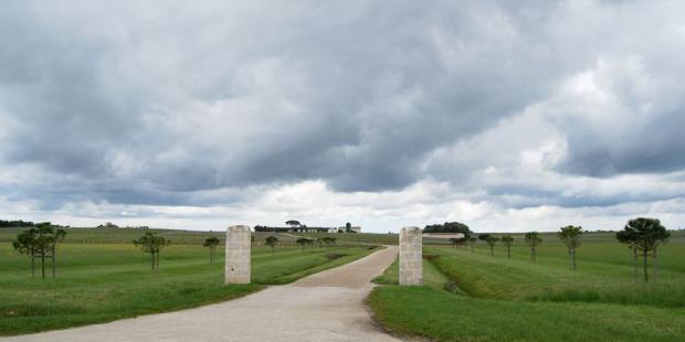 Château Meyney étire son allée plantée jusqu'au pied du coteau - Saint-Estèphe 