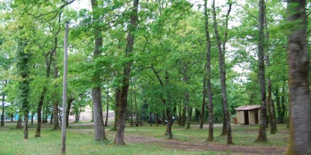 Les parcelles de forêt urbaine peuvent former des espaces publics de qualité - Saint-Laurent-Médoc