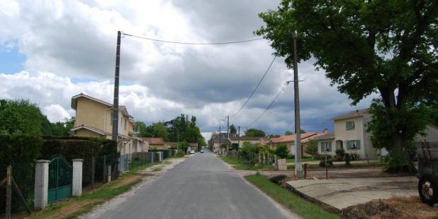 Les extensions récentes tendent à coloniser ces prairies - Listrac-Médoc