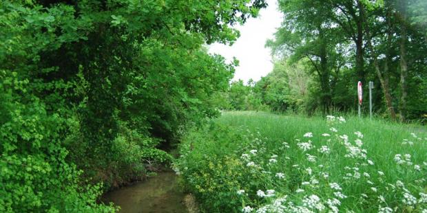 Cours d'eau à entretenir - Moulis-en-Médoc 