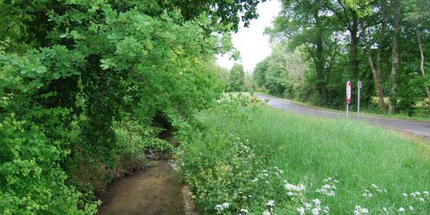 La route longe l'estey du Houguey, formant une ouverture plus lumineuse dans les boisements - Moulis-en-Médoc 