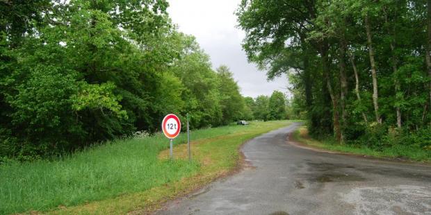Les ambiances de bois feuillus dans ces vallons, traversés rapidement par les routes, offrent pourtant une image riche - Moulis-en-Médoc 