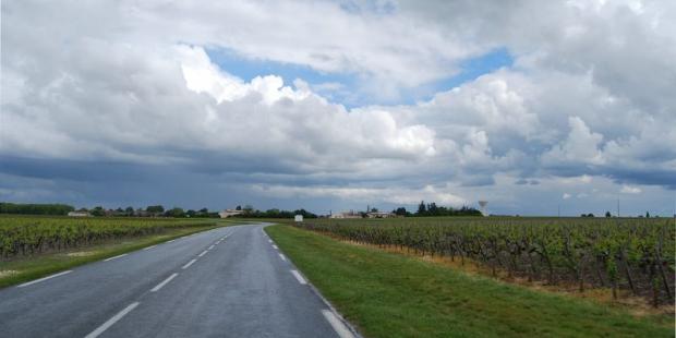 Les bandes enherbées au bord de la route donnent un aspect soigné aux paysages, et contribuent à la mise en valeur des vignes - Margaux