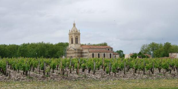 Les graves blanches des vignes répondent aux pierres calcaires du bâti - Margaux