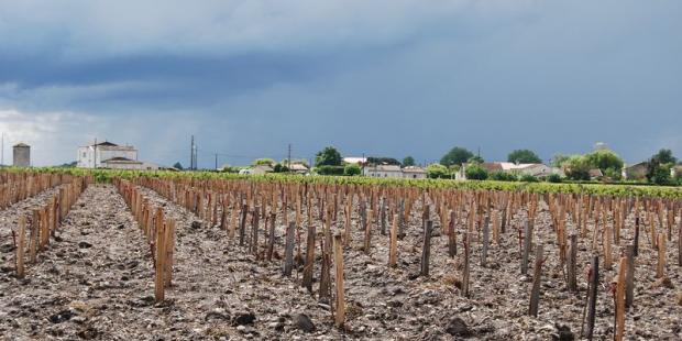 De taille variable, les graves sont souvent visible dans la terre à nu des parcelles viticoles - Cantenac