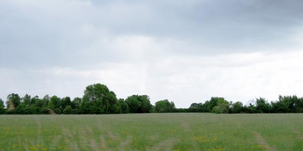 Les structures végétales accompagnent et enrichissent les canaux - Ludon-Médoc 
