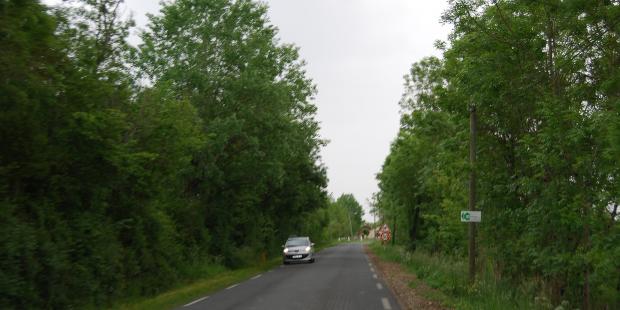 La végétation opaque des bords de route occulte ici toute vue vers les marais - Ludon-Médoc 