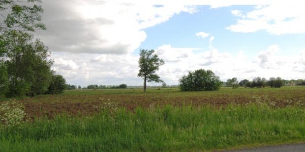 Mal entretenues, les haies n'offre plus de continuités écologiques - Ludon-Médoc