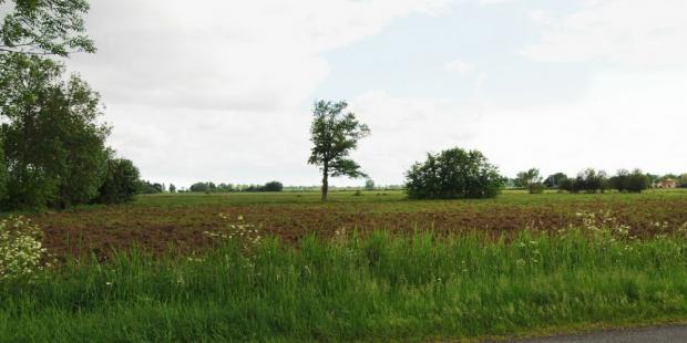 Lisières, haies ou sujets isolés : les arbres prennent une place majeure dans ces paysages - Ludon-Médoc 