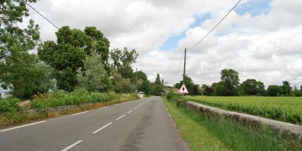 Les berges accueillent encore quelques domaines viticoles, protégés par de hauts murs-digues - Saint-Louis-de-Montferrand 