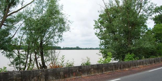Au-delà de la digue de béton, la Garonne se découvre dans toute son ampleur par cette ouverture dans la ripisylve : l'estey du Maine crée cette configuration en se jetant dans le fleuve - Ambès