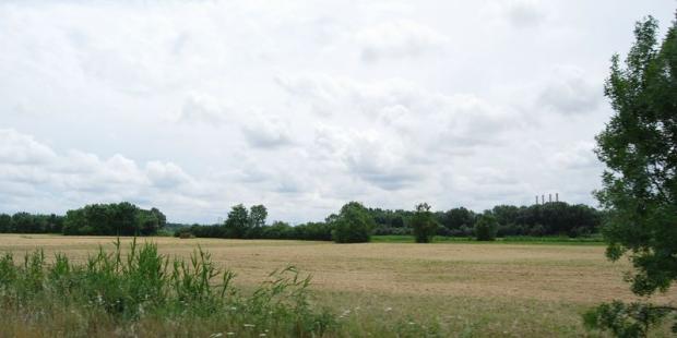 Les larges prairies de fauche, très dégagées, dessinent un paysage plus ouvert que les anciennes pâtures bocagères - Ambès 