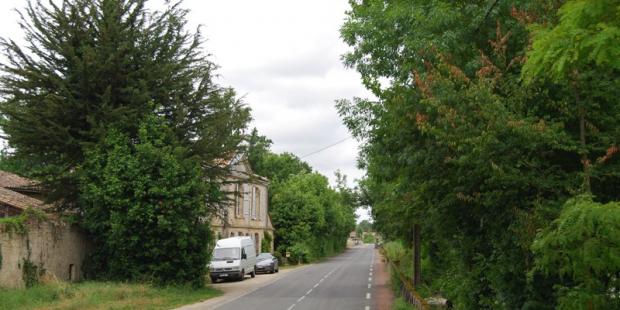 Le patrimoine bâti n'est pas valorisé et la ripisylve mal gérée coupe toute vue sur la Dordogne - Ambès