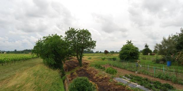 La simplification des réseaux de canaux - ici recuvelé en béton - appauvrit les milieux naturels de la presqu'île
