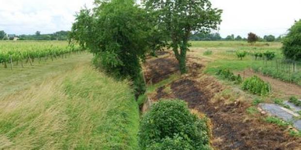 Ce fossé, proche du hameau de Mondion, a été recuvelé en béton - Saint-Vincent-de-Paul