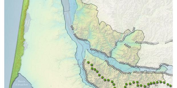 schema-structures-morpho