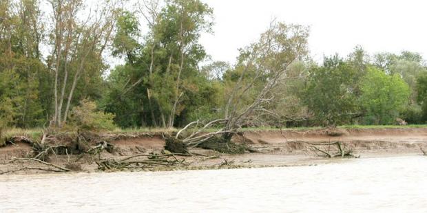 Sans aménagements, les berges reculent inexorablement 